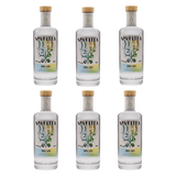 Noveltea Dry Gin transparenter Hintergrund volle Kiste sechs Stück