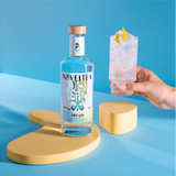 Noveltea Dry Gin vor blauem Hintergrund und Gin Tonic